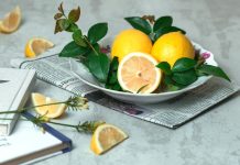 ZdraveZpravy.cz: Články od 14.11. do 21.11. 2021 zdravezpravy.cz_a