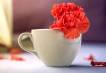 Zdravé Zprávy: Přehled článků od 17.1. do 23.1. 2022 Zdrave_Zpravy