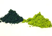 Nabídka mikrořas chlorela se rozšířila díky vědcům z ČR chlorela