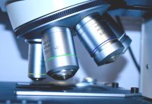 Vědci odhalili vliv plektinu na tkáň motýlích pacientů motylich