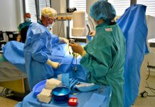 Pracovní karanténa se osvědčuje. Nemocnice ji využívají pracovni_karantena