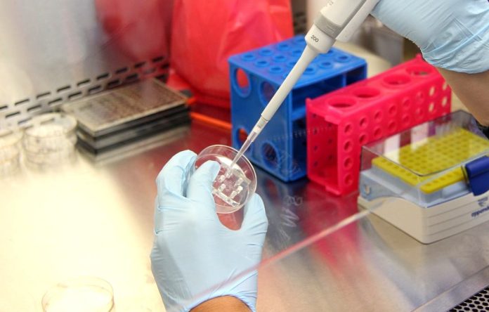 HPV_DNA_testy
