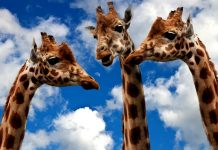 Zdravé Zprávy: Přehled článků od 21.3. do 27.03. 2022 Zdrave_Zpravy