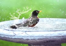 Vouchery do lázní skončí za 3 týdny, chystají se už další do_lazni