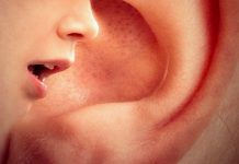 Školní logopedi jsou riziko, tvrdí SAS. MŠMT to odmítá logopedi