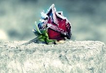 Úmrtnost v Česku za pandemie vzrostla o více než pětinu umrti