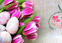 Zdravé Zprávy: Přehled článků od 11.4. do 18.4 2022 Zdrave_Zpravy