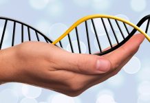 Poslední únorový den patří lidem se vzácnou nemocí den