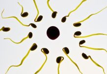 Zavedení spermií při IUI se nepočítá do úhrady cyklů IVF do