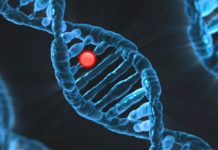 Riziko karcinomu vaječníku určí i genetické vyšetření vysetreni