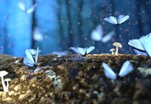 Špatné sny mohou značit počátky Parkinsonovy choroby choroby