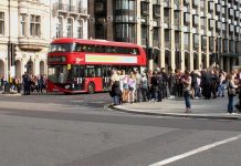 Opičí neštovice se v Británii šíří komunitně, jsou i v USA opici