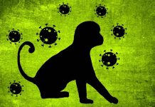 Opičí neštovice řádí v Africe od roku 2017. Ale bez zájmu opici_nestovice