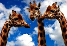 Zdravé Zprávy: Přehled článků od 14.08. do 21.08. Zpravy