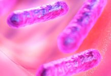 Pneumokokové infekci loni podlehlo 48 lidí infekci