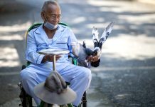 Lidé s lepším sociálním zázemím mají delší život socialni_zazemi