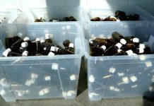 Pharmos loni zvýšil obrat o 9,5 % na 11,2 mld. Kč Pharmos