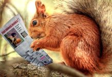 Zdravé Zprávy: Přehled článků od 5.9. do 11.9. Zdrave_Zpravy