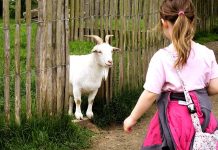 Záškrt na Vysočině se dále nešíří, potvrdili hygienici hygienici