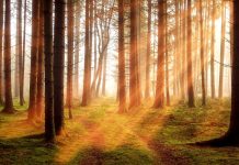 ZdraveZpravy.cz: Přehled článků od 3.10. do 9.10. ZdraveZpravy.cz