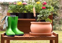 Zahradnické práce posílí duševní zdraví. I u mladých dusevni_zdravi