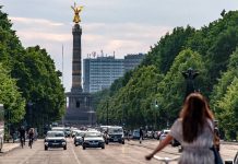 Stromy jsou super! Proč jich mají města málo? stromy