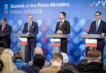 Země V4 Slovensku pomůžou při odchodech lékařů V4