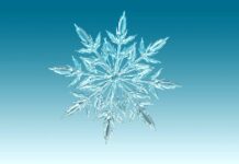 Zdravé Zprávy: Přehled článků od 12.12. do 18.12. zdrave