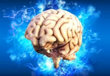 Neurodegenerace spouštějí i viry, vědci hovoří i o covidu neurodegenerace