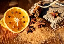 Vánoce v době Shakespeara nabídly pomeranč a hřebíček shakespeara