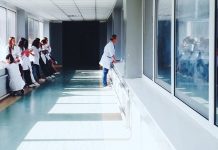 Zdravé Zprávy: Přehled článků od 31.10. do 6.11. zdrave_zpravy