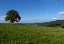 Zdravé Zprávy: Přehled článků od 26.9. do 2.10. zdrave_zpravy