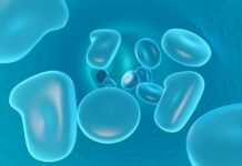 53letý Němec se z HIV uzdravil díky transplantaci kostní dřeně kostni