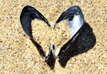 Zdravé Zprávy: Články od 23.1. do 29.1. 2023 more