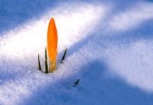 Zdravé Zprávy: Články od 6.2. do 12.2. 2023 Zdrave_Zpravy