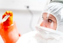 Čeští vědci slaví úspěchy v boji s parazitárními nemocemi cesti_vedci