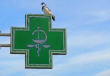 Přeshraniční preskripce? Již brzy, uvádí SÚKL preshranicni