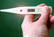 Na ptačí chřipku zemřela 11letá dívka i mladá Číňanka ptaci