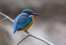 Zdravé Zprávy: Články od 20.2. do 26.2. 2023 Zdrave_zpravy