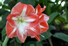 ZdraveZpravy.cz: Články od 9.5. do 14.5. 2023 ZdraveZpravy.cz