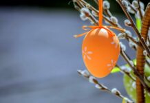 Zdravé Zprávy: Přehled článků od 3.4. do 10.4. 2023 Zdrave_Zpravy