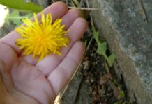 Zdravé Zprávy: Články od 17.4. do 23.4. 2023 Zdrave_Zpravy