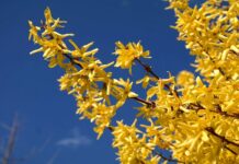 Zdravé Zprávy: Články od 20.3. do 26.3. 2023 Zdrave_Zpravy