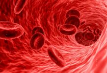 Roční léčba hemofilika vyjde průměrně na 600 tisíc Kč hemofilika