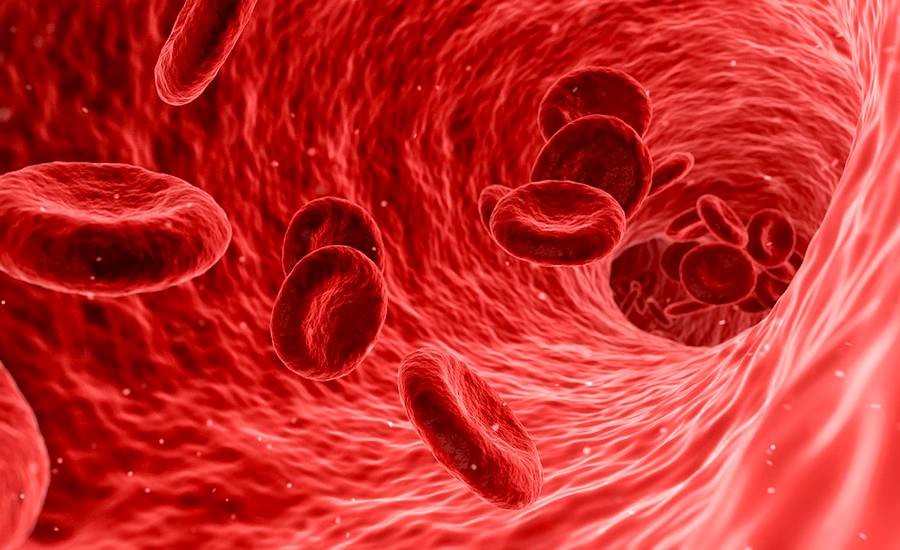 Die jährliche Behandlung eines Hämophilen kostet durchschnittlich 600.000 CZK