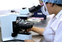 Software českých vědců hlídá molekuly při výrobě léků software