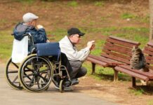 Příspěvky hendikepovaným vyřídí zřejmě jeden úřad davky