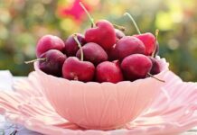 Zdravé Zprávy: Články od 12.6. do 18.6. 2023 Zdrave_zpravy