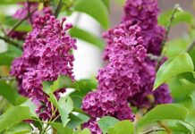 ZdraveZpravy.cz: Články od 1.5. do 8.5. 2023 ZdraveZpravy.cz