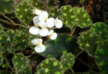 ZdraveZpravy.cz: Články od 15.5. do 21.5. 2023 ZdraveZpravycz